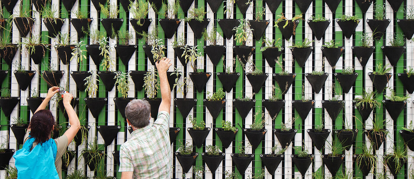 Two people tending to a wall garden