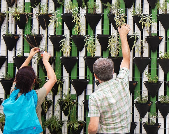 Two people tending to a wall garden