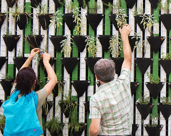 Two people tending to a wall garden