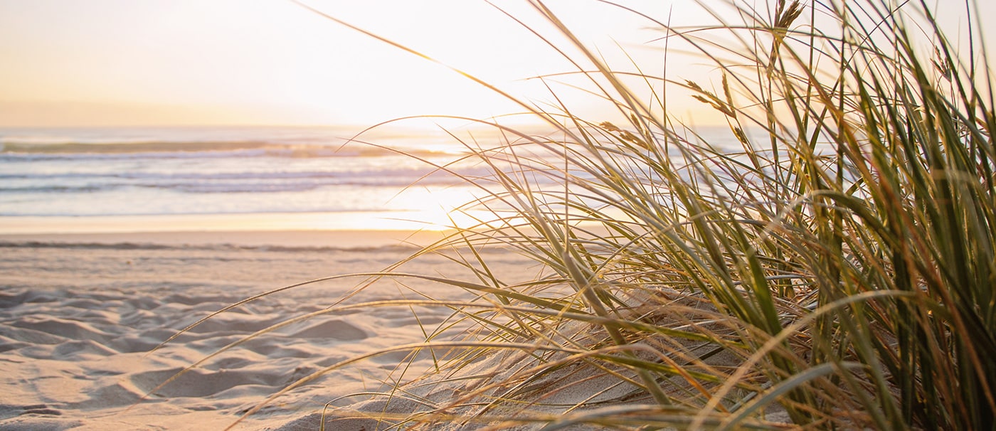 beach-1400x606