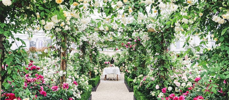 Credit: https://www.vogue.com/slideshow/photos-inside-2017-chelsea-flower-show-london. Photographed by Jo Rodgers chelsea flower show